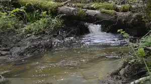 Ruisseau de Ramaille