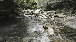 Ruisseau de la Fleuria