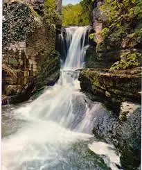 Ruisseau des Trétêtes