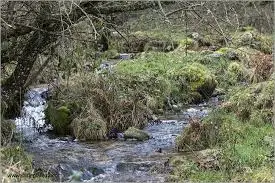 Ruisseau du Vallonnet