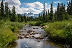 Ruisseau du Chalanson