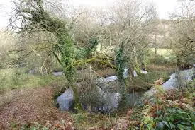 Ruisseau des Vardettes