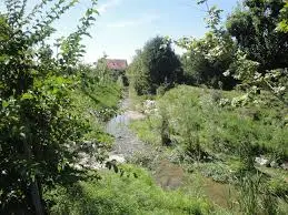 Ruisseau de l'Éfallet