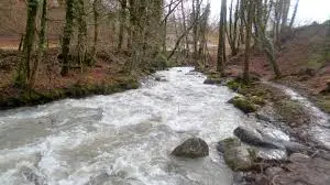 Ruisseau de la Tête