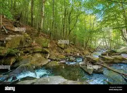 Ruisseau de la Sétive