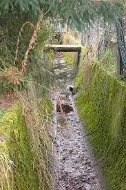 Ruisseau des Fontanettes