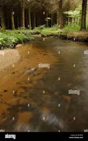 Ruisseau de Savalain