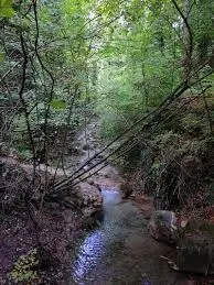 Ruisseau de Savine