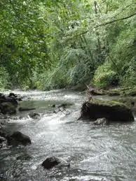 Ruisseau du Plan d'Étache