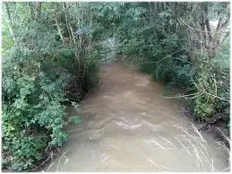 Ruisseau de Prouillat