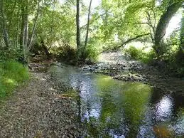 Ruisseau de Trécourt