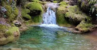 Ruisseau des Chardonnets