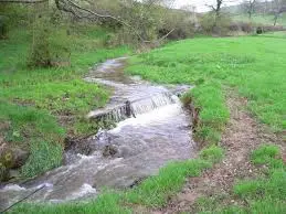 Ruisseau des Bélichons