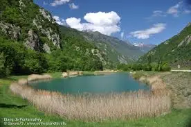 Etang de Pontamaffrey