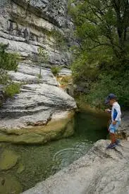 Ruisseau de Chamousset