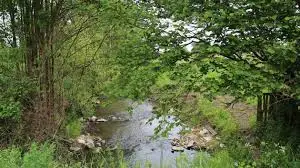 Ruisseau de l'Agnelaire