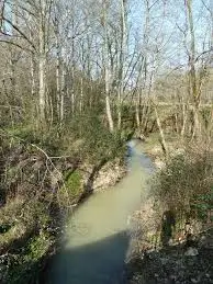 Ruisseau du Moulin Neuf 2