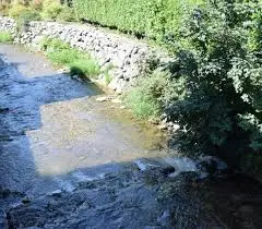 Ruisseau de Moirans Merle