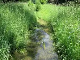 Ruisseau de Verrière