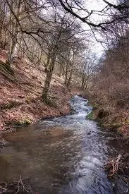 Ruisseau de la Première Raie