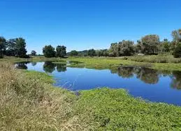 Petite Gravière d'Iguerande