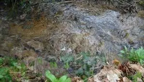 Ruisseau de la Grille