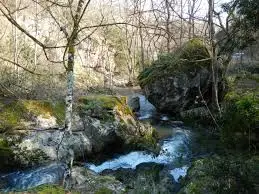 Ruisseau des Savoiroux