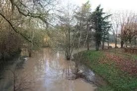 Ruisseau de l'Étang