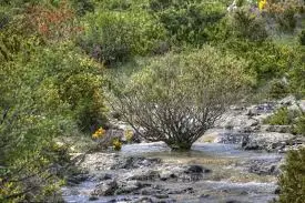 Ruisseau de l'Éparre