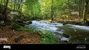 Ruisseau de Planvillard