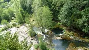 Ruisseau de Montalbert
