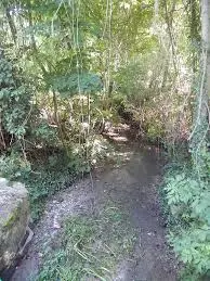 Ruisseau du Grand Nant