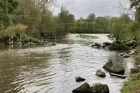 Ruisseau des Léchères