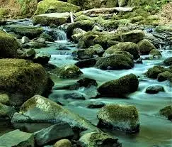 Ruisseau des Michelins