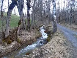 Ruisseau de la Chanelle