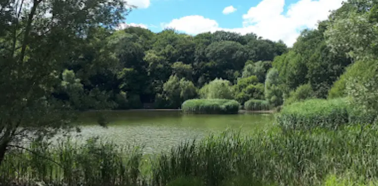 Etangs de la Forêt de Meudon