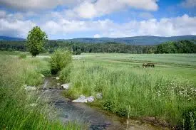 Ruisseau des Prateries