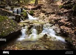 Ruisseau de Sagellan