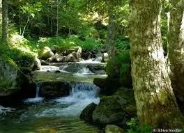 Ruisseau de Treinant