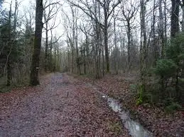 Ruisseau des Trousses