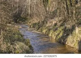 Ruisseau de la Louie Blanche