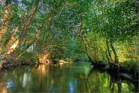 Ruisseau du Petit Glacier