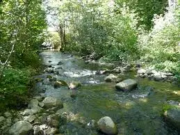 Ruisseau des Bochets