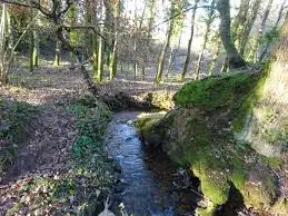 Ruisseau de Cartagnoulaz