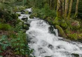 Ruisseau de Giboudry