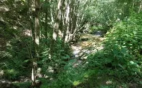 Ruisseau de la Menda