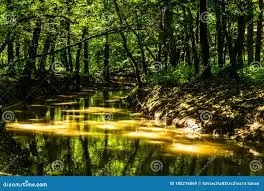 Ruisseau de la Sénaille