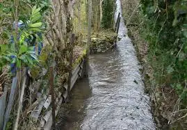 Ruisseau du Millet