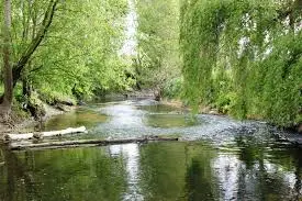 Rivière de l'Yerres