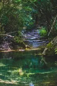 Ruisseau de Saint-Pantaléon